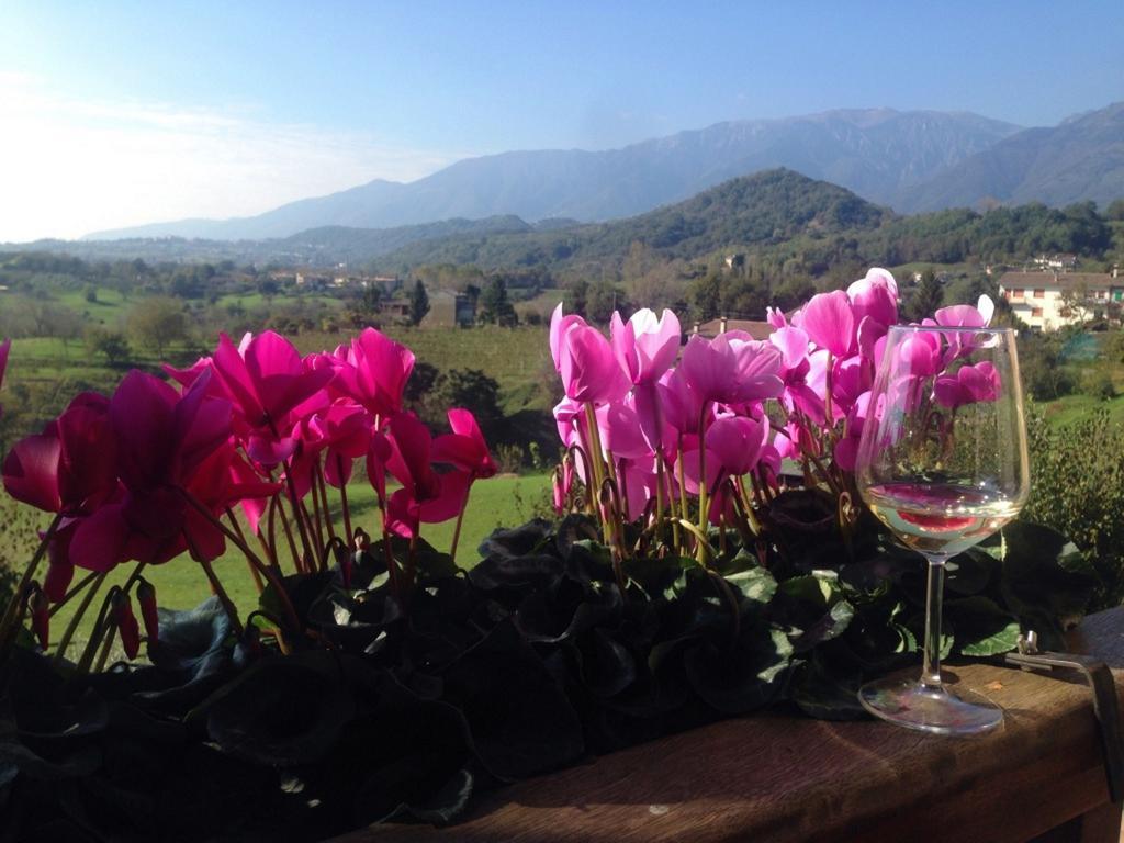 Wine Hotel San Giacomo Activity & Wellness Paderno del Grappa Exterior foto