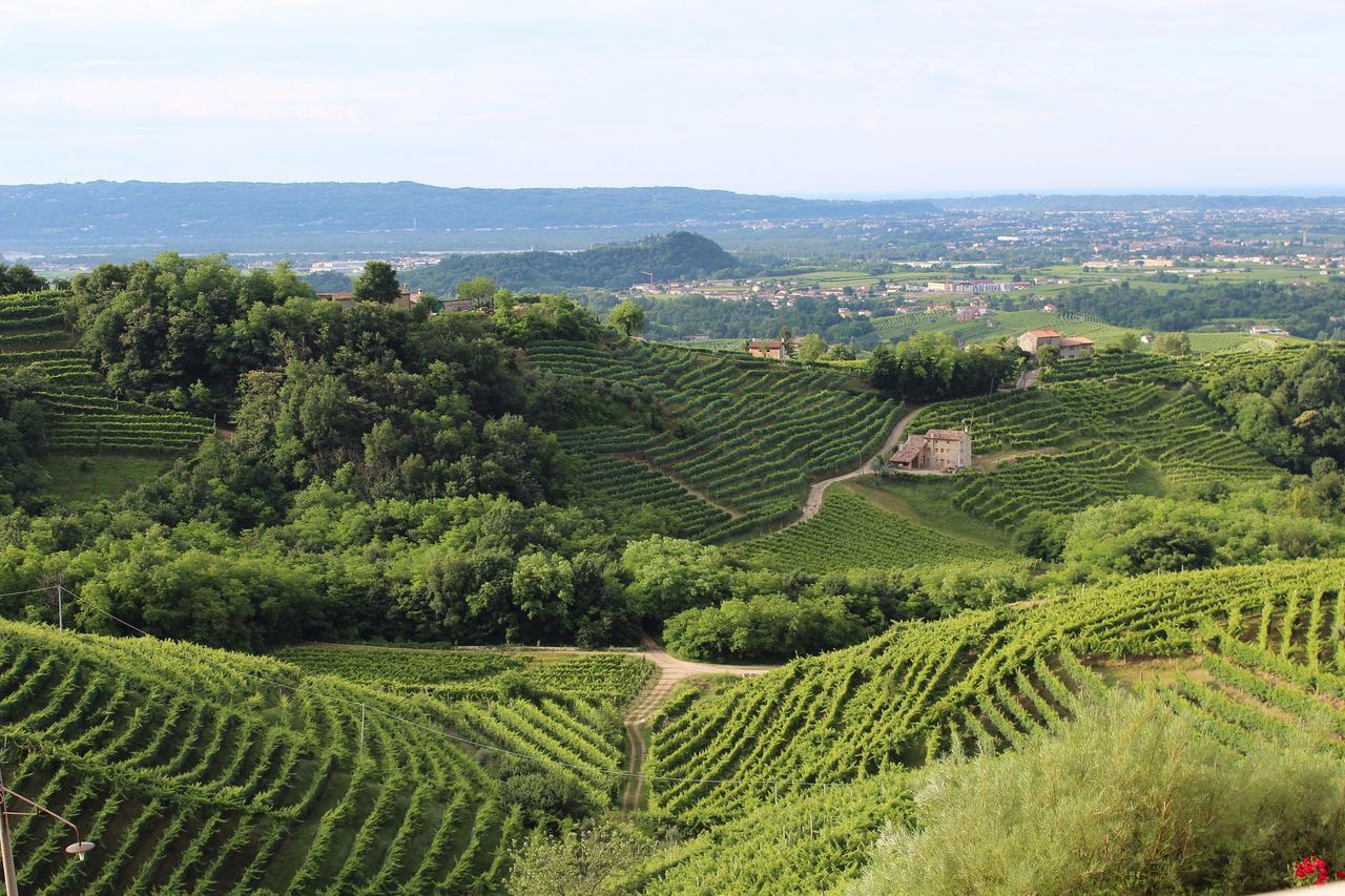 Wine Hotel San Giacomo Activity & Wellness Paderno del Grappa Exterior foto