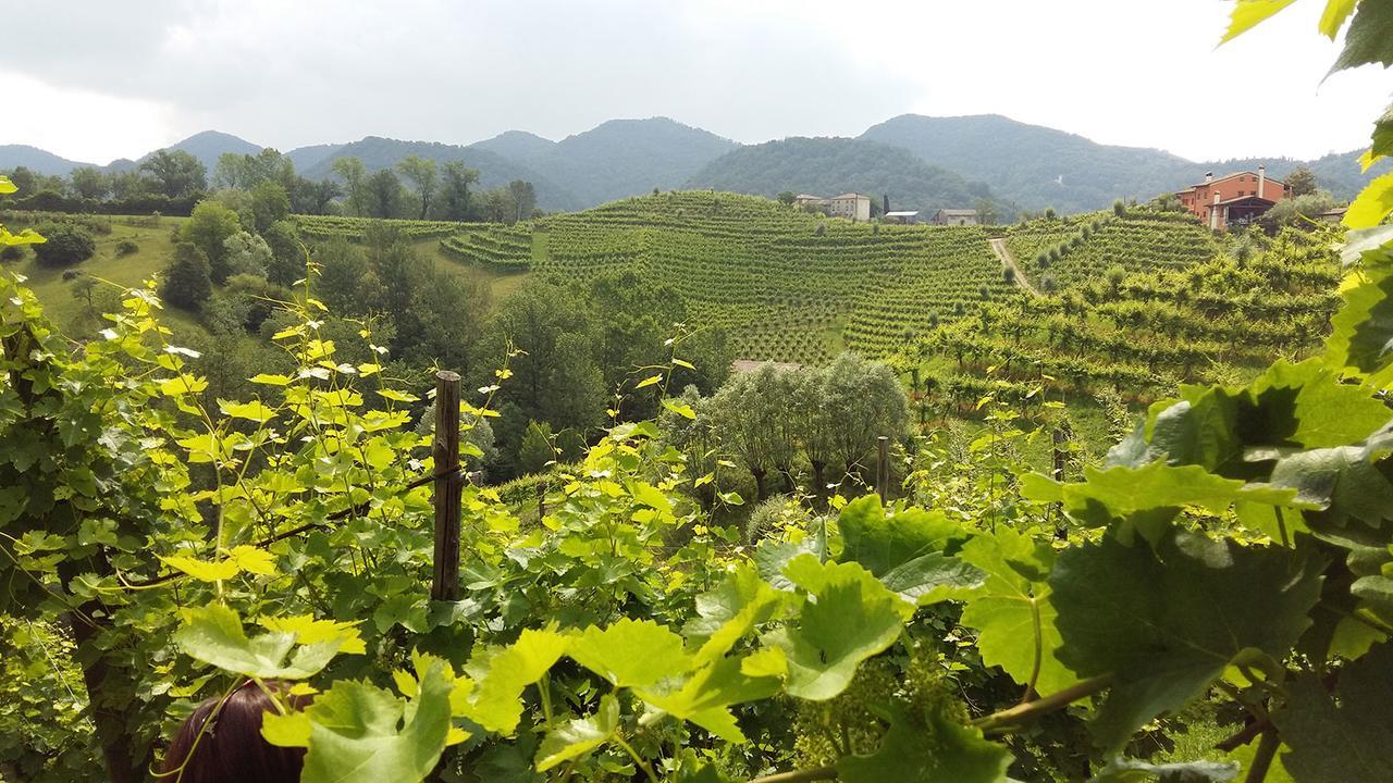 Wine Hotel San Giacomo Activity & Wellness Paderno del Grappa Exterior foto